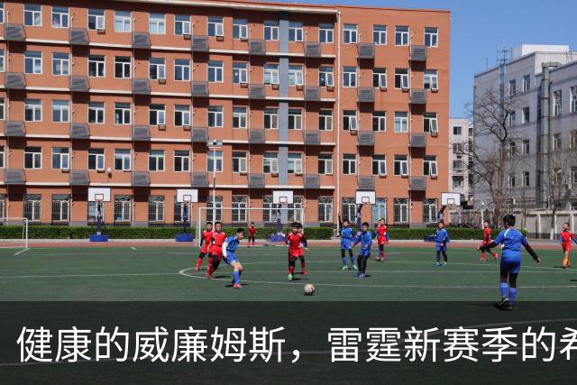 健康的威廉姆斯，雷霆新赛季的希望之星