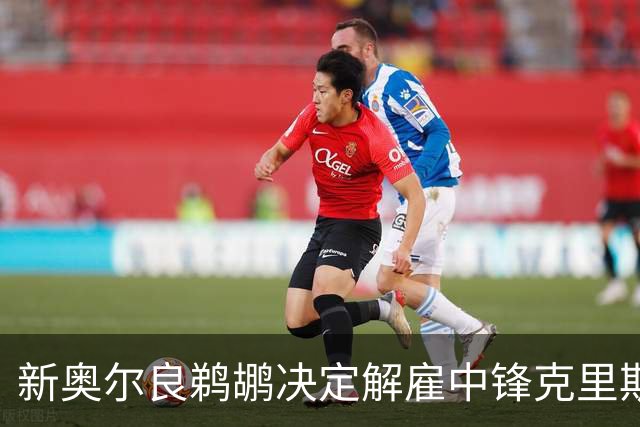 新奥尔良鹈鹕决定解雇中锋克里斯蒂安-科洛科